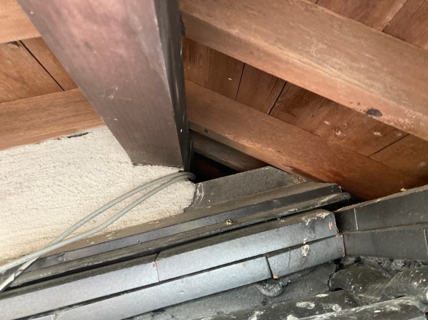 イタチによる被害　H様邸　駆除実績